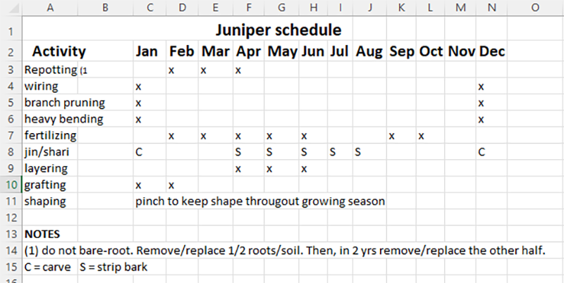 Juniper Bonsai Yearly Schedule