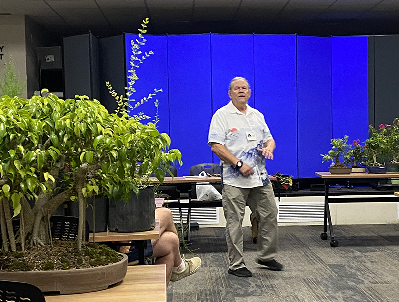 June 2024: Bonsai wiring by Wilson